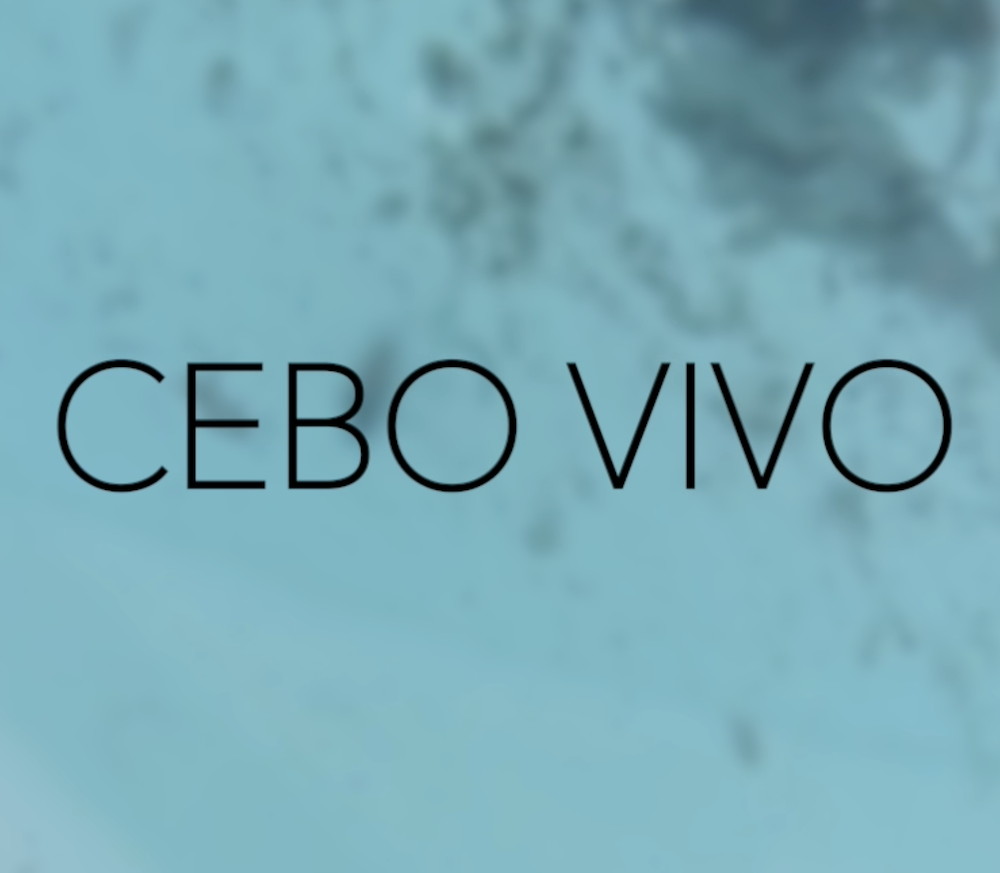cebo-vivo