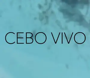 cebo-vivo