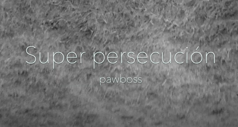 super-persecucion