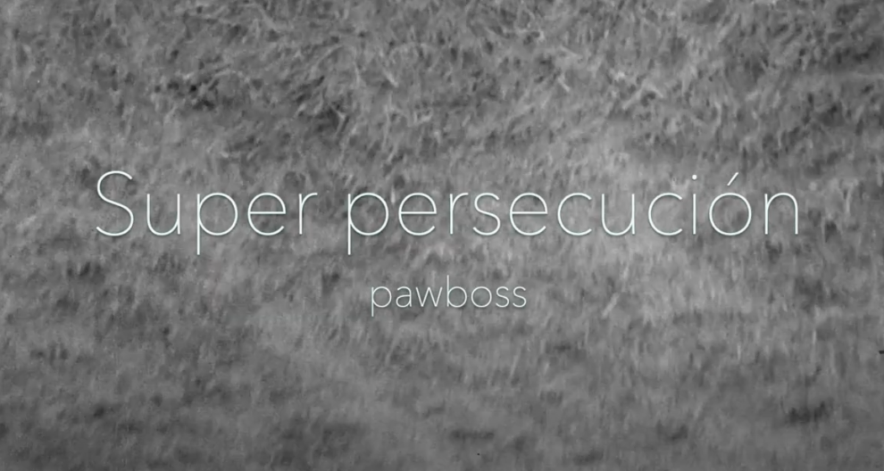 Super persecución – pawboss